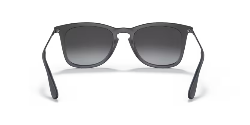 Ray-Ban 0RB4221