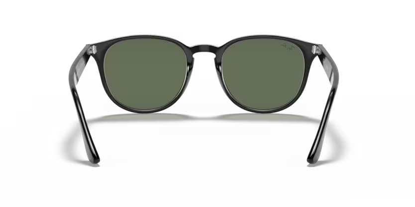 Ray-Ban 0RB4259