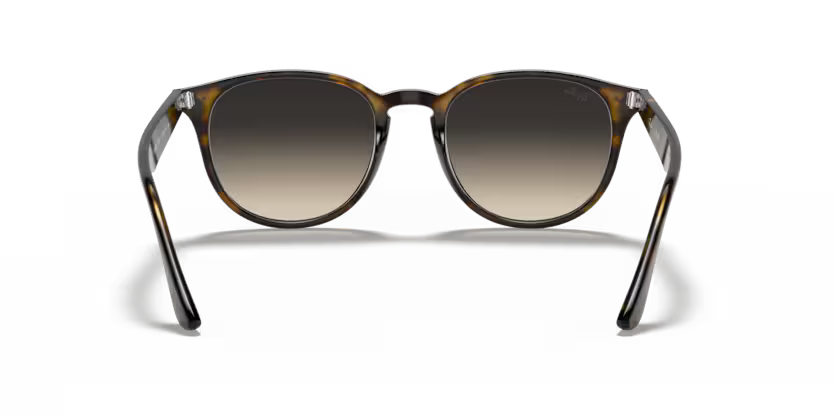 Ray-Ban 0RB4259