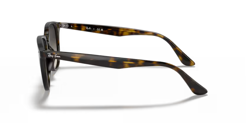 Ray-Ban 0RB4259
