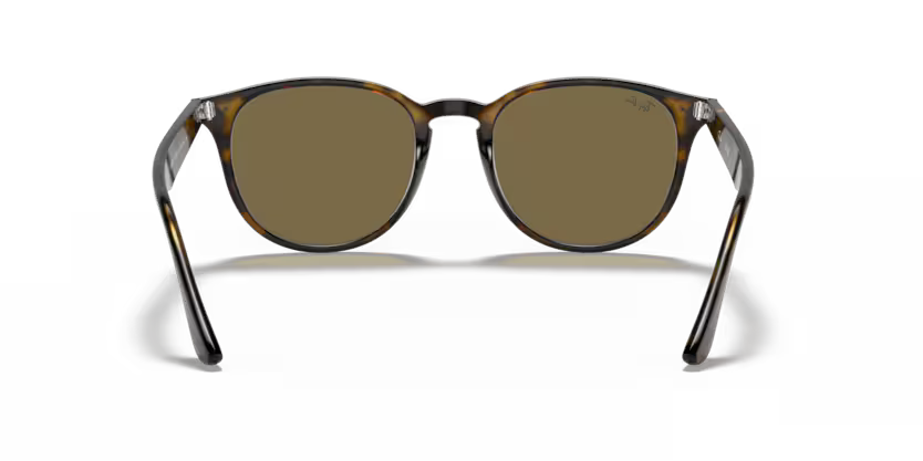 Ray-Ban 0RB4259