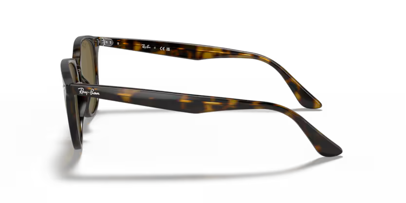 Ray-Ban 0RB4259