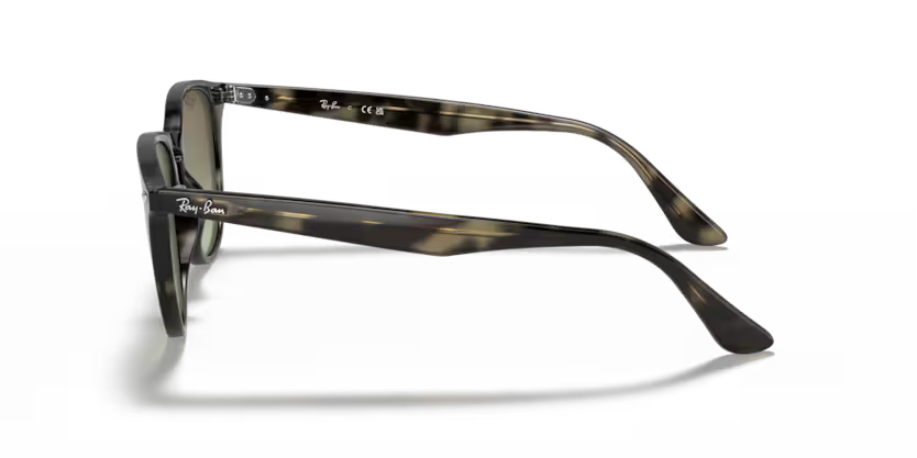 Ray-Ban 0RB4259