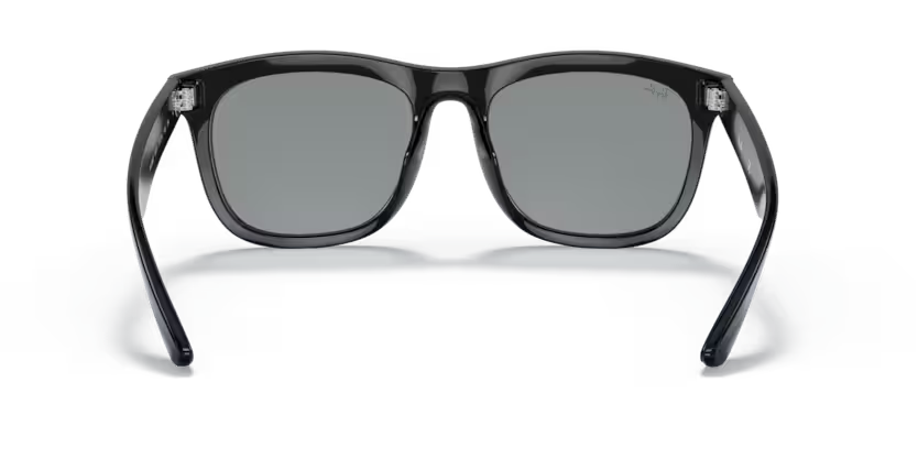 Ray-Ban 0RB4260D