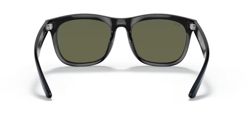 Ray-Ban 0RB4260D