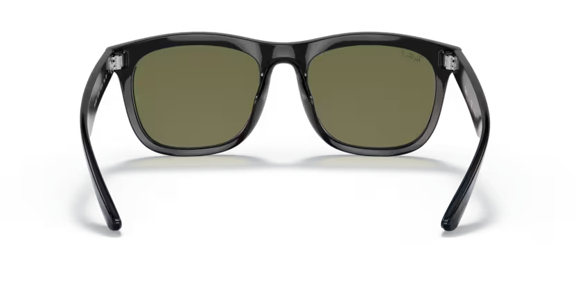 Ray-Ban 0RB4260D