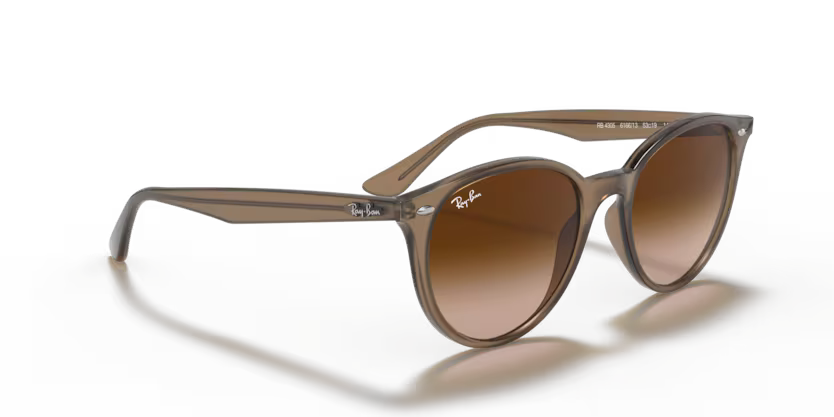 Ray-Ban 0RB4305
