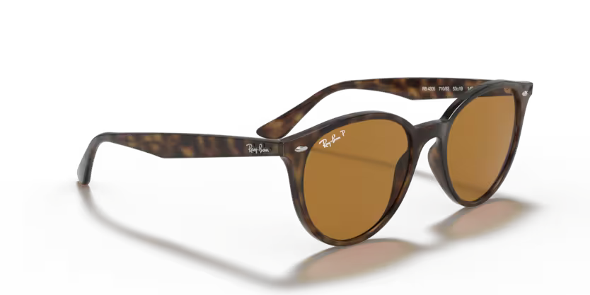 Ray-Ban 0RB4305