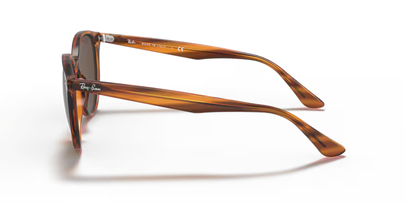Ray-Ban 0RB4305