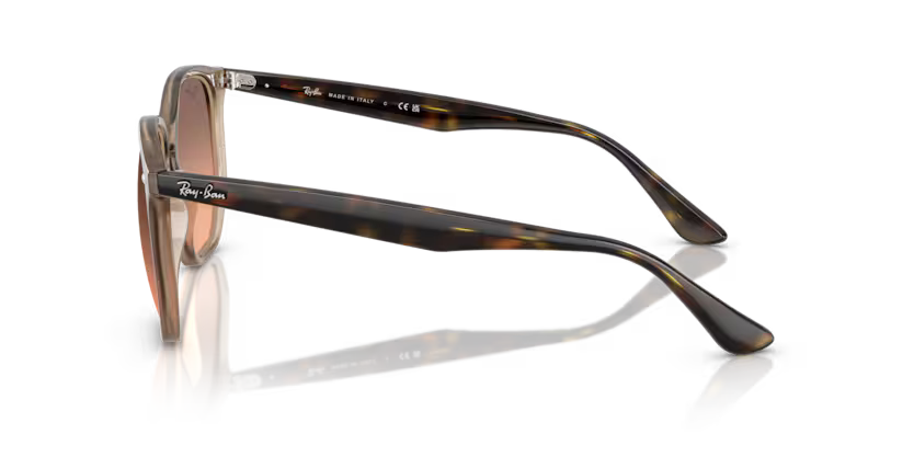 Ray-Ban 0RB4306
