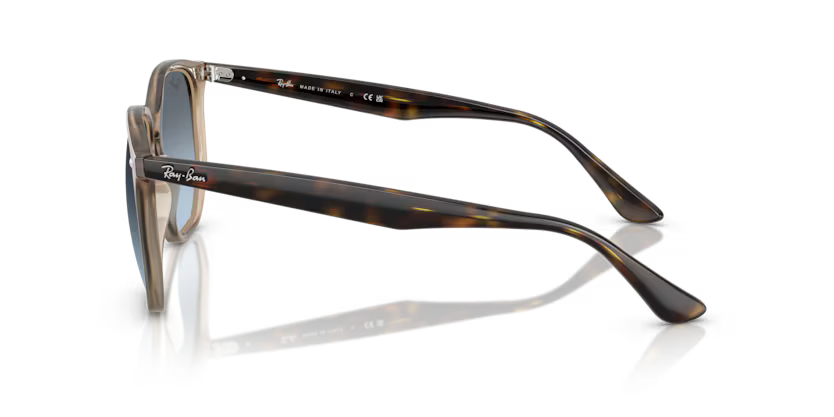 Ray-Ban 0RB4306