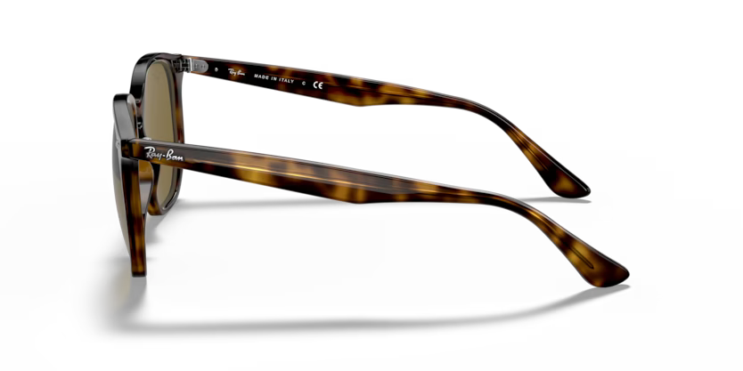 Ray-Ban 0RB4306
