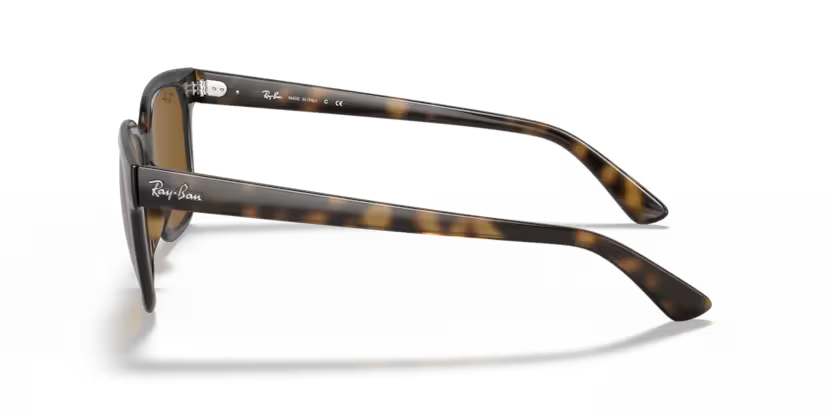 Ray-Ban 0RB4323