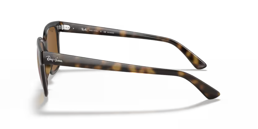 Ray-Ban 0RB4323