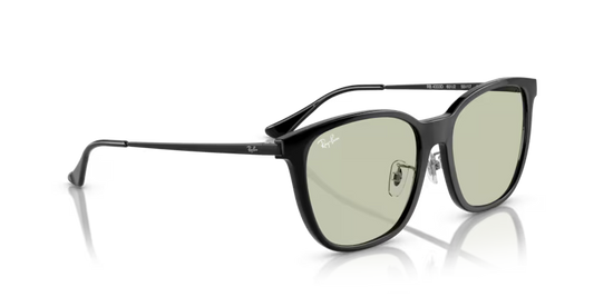 Ray-Ban 0RB4333D