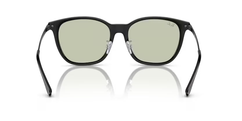 Ray-Ban 0RB4333D