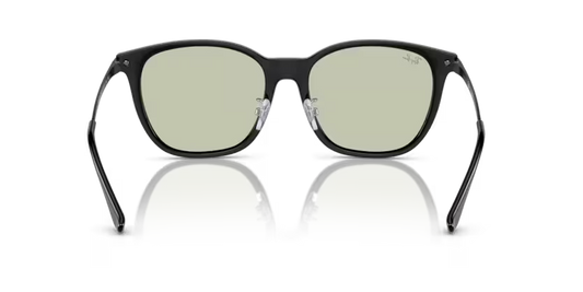 Ray-Ban 0RB4333D
