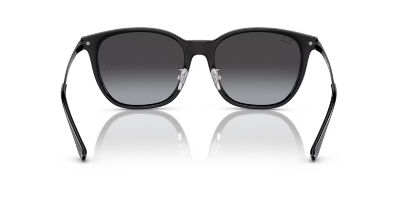 Ray-Ban 0RB4333D