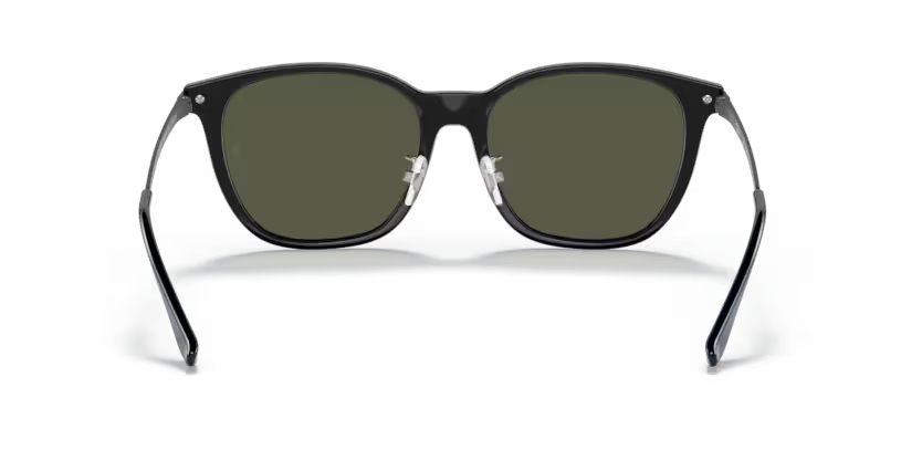 Ray-Ban 0RB4333D