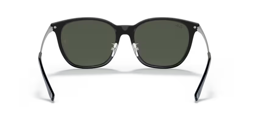 Ray-Ban 0RB4333D