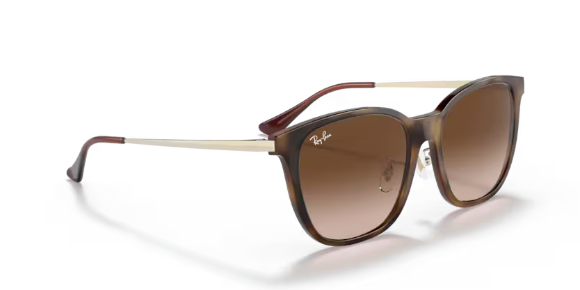 Ray-Ban 0RB4333D