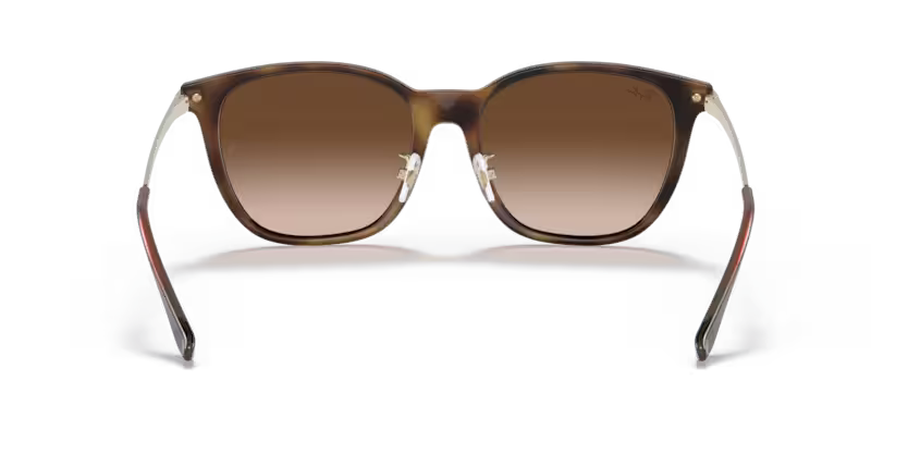 Ray-Ban 0RB4333D
