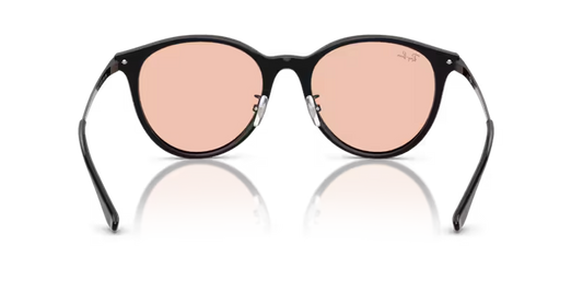 Ray-Ban 0RB4334D