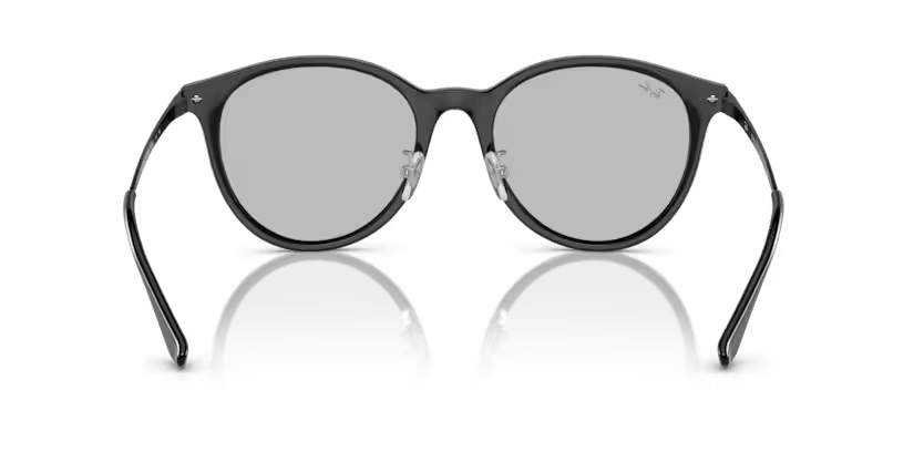 Ray-Ban 0RB4334D