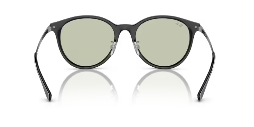 Ray-Ban 0RB4334D