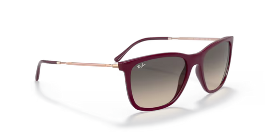 Ray-Ban 0RB4344
