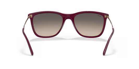 Ray-Ban 0RB4344