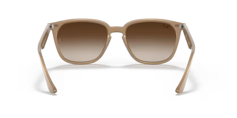 Ray-Ban 0RB4362