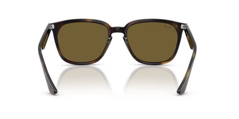 Ray-Ban 0RB4362