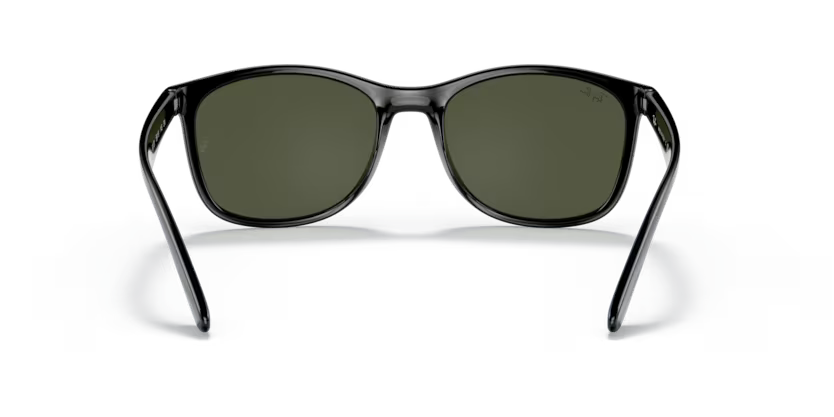 Ray-Ban 0RB4374