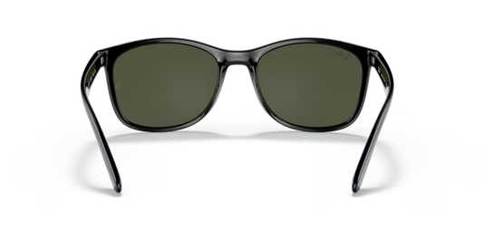 Ray-Ban 0RB4374