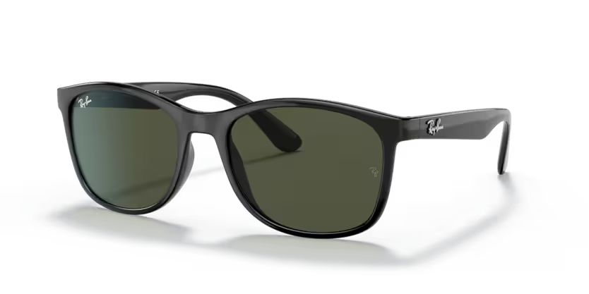 Ray-Ban 0RB4374