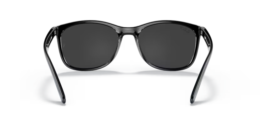 Ray-Ban 0RB4374