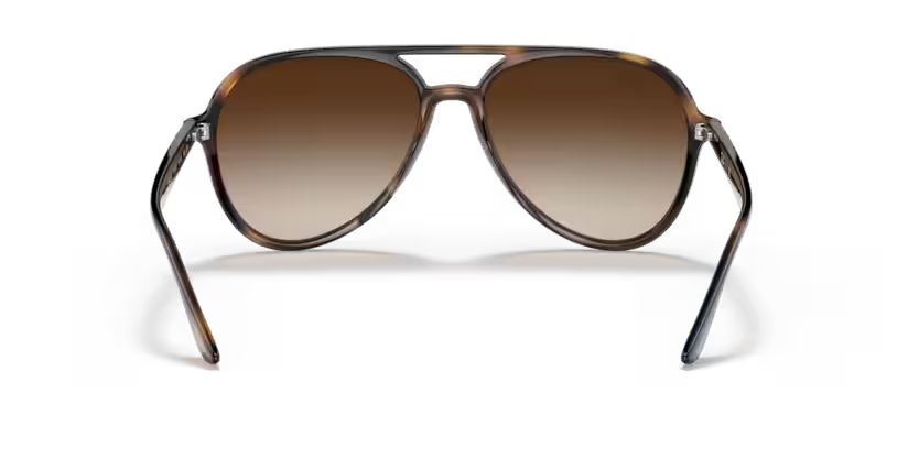 Ray-Ban 0RB4376