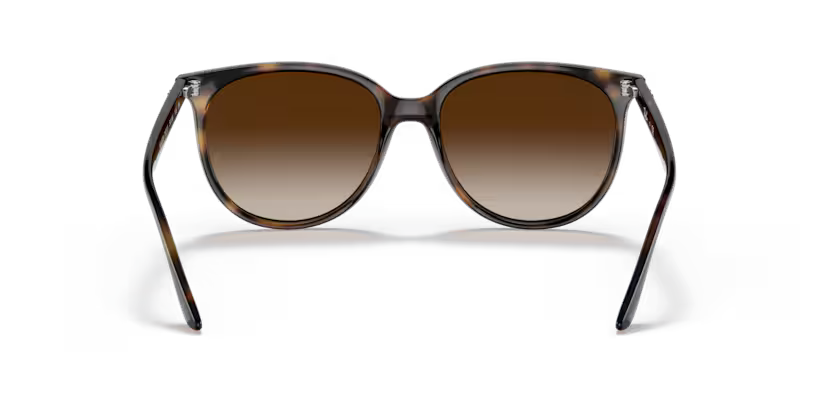 Ray-Ban 0RB4378