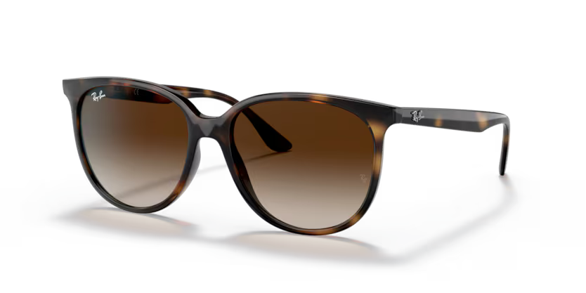 Ray-Ban 0RB4378