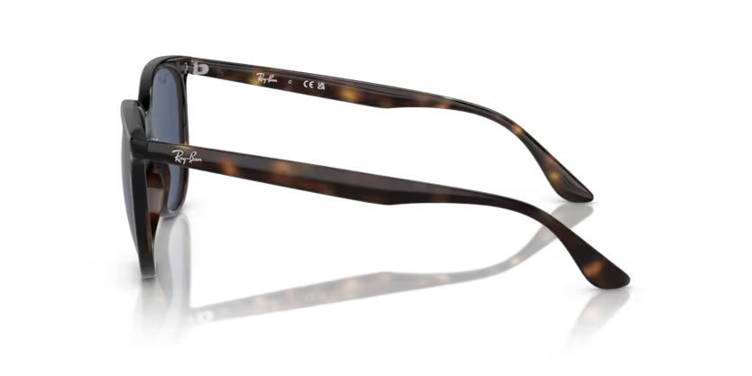 Ray-Ban 0RB4378