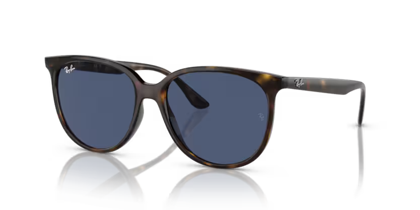 Ray-Ban 0RB4378