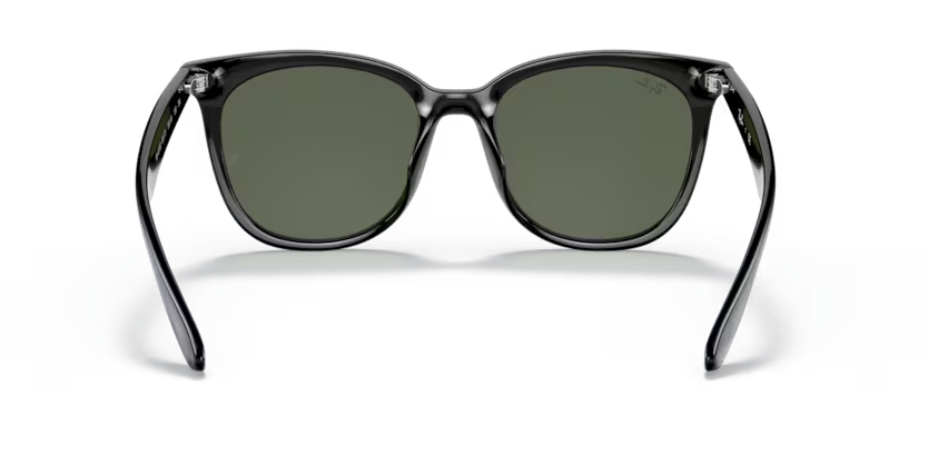 Ray-Ban 0RB4379D