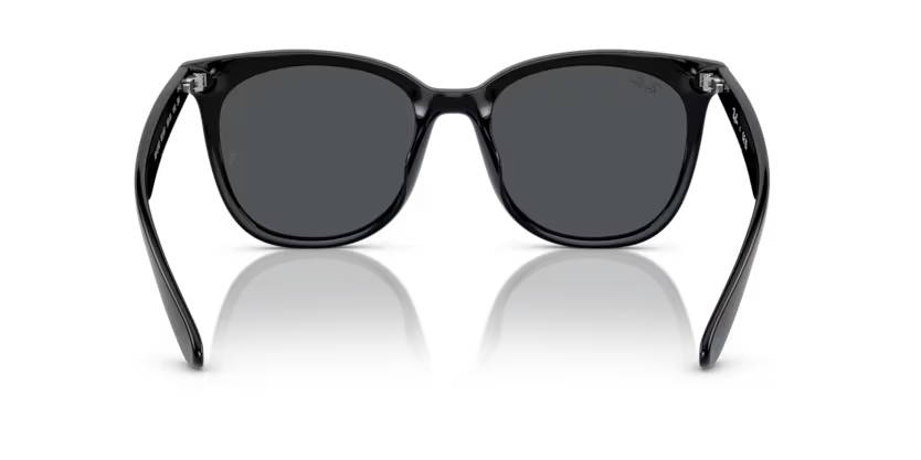 Ray-Ban 0RB4379D