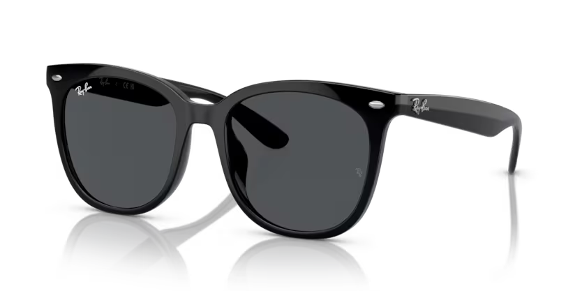 Ray-Ban 0RB4379D