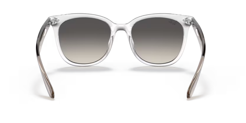 Ray-Ban 0RB4379D