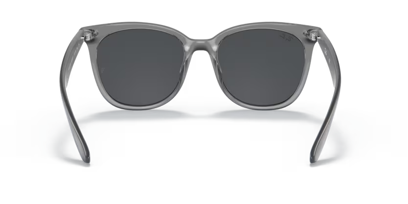 Ray-Ban 0RB4379D