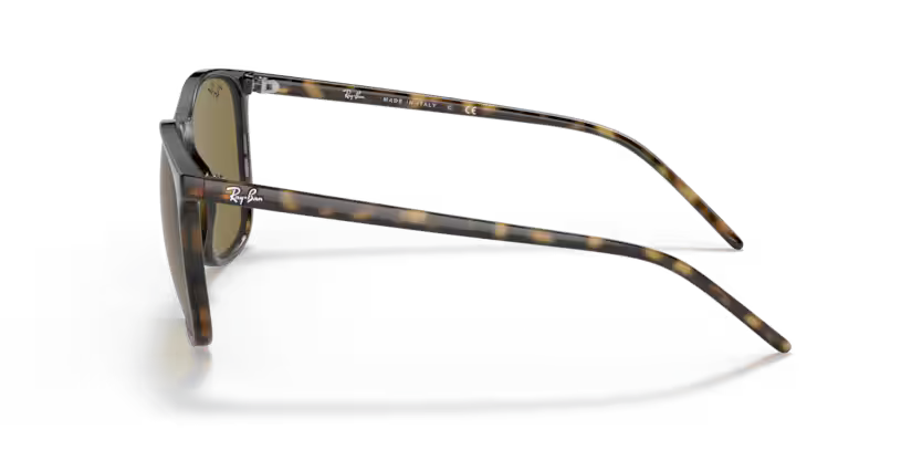 Ray-Ban 0RB4387