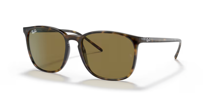 Ray-Ban 0RB4387