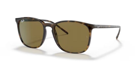 Ray-Ban 0RB4387